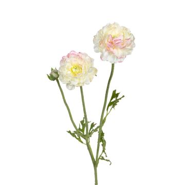 Dekozweig Ranunkel ALIHKA, weiß-rosa, 55cm Dekozweig Ranunkel ALIHKA, weiß-rosa, 55cm