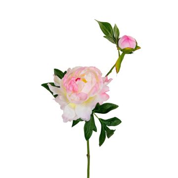 Künstlicher Zweig Pfingstrose ALINAMA, creme-rosa, 55cm