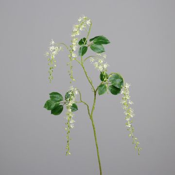Kunstzweig Barringtonia ESALINA mit Blüten, creme, 135cm