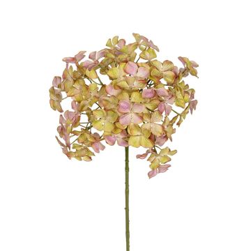 Dekoblume Hortensie AMANDELA, grün, 70cm Dekoblume Hortensie AMANDELA, grün, 70cm