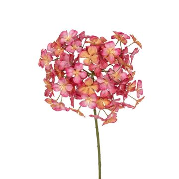 Dekoblume Hortensie AMANDELA, koralle, 70cm Dekoblume Hortensie AMANDELA, koralle, 70cm