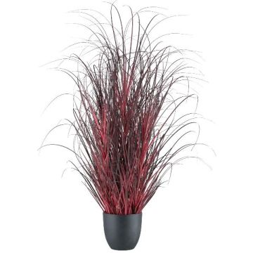 Kunst Afrikanisches Lampenputzergras TUNPA im Dekotopf, dunkelrot, 80cm