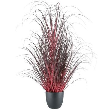 Kunst Afrikanisches Lampenputzergras TUNPA im Dekotopf, dunkelrot, 100cm