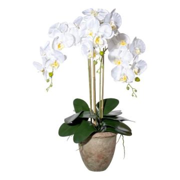 Textil Phalaenopsis Orchidee FRIMTOR im Terracottatopf, Wurzeln, weiß, 75cm