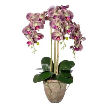 Textil Phalaenopsis Orchidee FRIMTOR im Terracottatopf, Wurzeln, grün-lila, 75cm