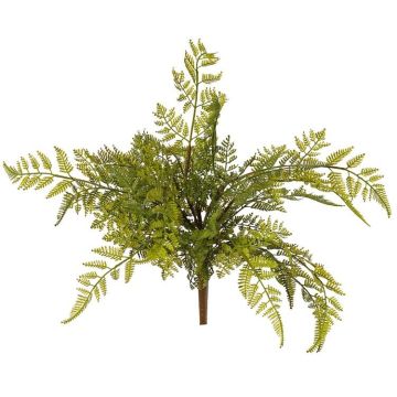 Unechter Schildfarn ÖZDEN auf Steckstab, grün, 40cm, Ø45cm