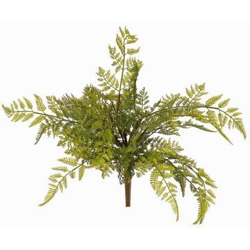 Unechter Schildfarn ÖZDEN auf Steckstab, grün, 40cm, Ø45cm Unechter Schildfarn ÖZDEN auf Steckstab, grün, 40cm, Ø45cm