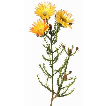 Künstliche Kap-Strohblume BEYA, gelb-hellorange, 60cm, Ø6cm
