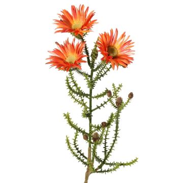 Künstliche Kap-Strohblume BEYA, orange-gelb, 60cm, Ø6cm Künstliche Kap-Strohblume BEYA, orange-gelb, 60cm, Ø6cm