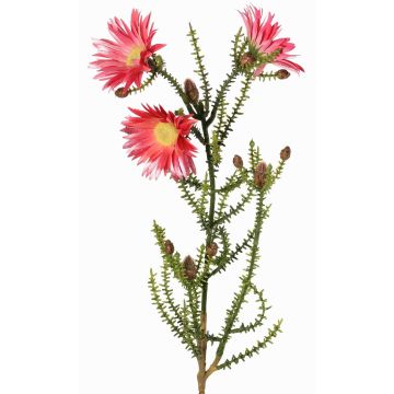 Künstliche Kap-Strohblume BEYA, rosa-pink, 60cm, Ø6cm