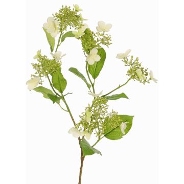 Hortensie Kunstblumenzweig KATHANI, weiß-grün, 80cm, Ø10-13cm Hortensie Kunstblumenzweig KATHANI, weiß-grün, 80cm, Ø10-13cm