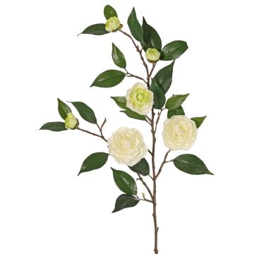 Künstlicher Kamelien Zweig YARINA mit Blüten, creme-grün, 75cm