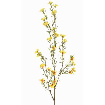 Künstliche Wachsblume NIANG, gelb, 80cm, Ø1,5-2,5cm Künstliche Wachsblume NIANG, gelb, 80cm, Ø1,5-2,5cm