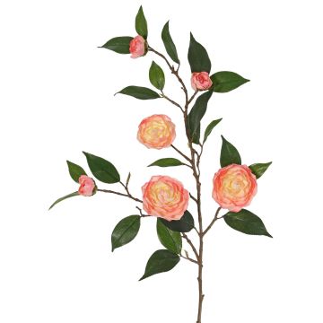 Künstlicher Kamelien Zweig YARINA mit Blüten, rosa-creme, 75cm