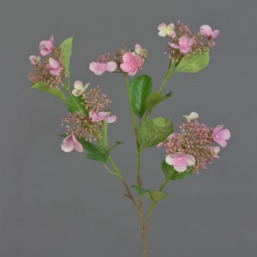 Hortensie Kunstblumenzweig KATHANI, rosa-weiß-grün, 80cm, Ø10-13cm
