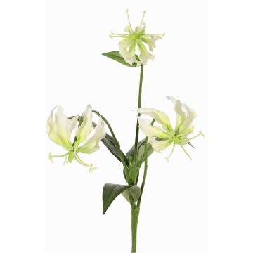 Dekoblume Gloriosa XELA, weiß-grün, 50cm, Ø4-7cm