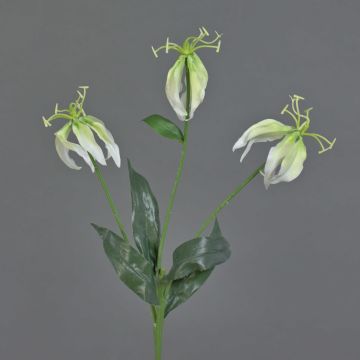 Dekoblume Gloriosa XELA, weiß-grün, 50cm, Ø4-7cm