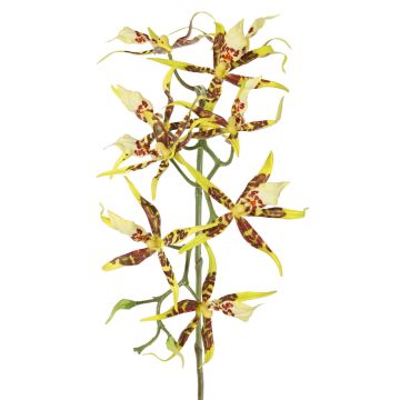 Künstliche Brassia Orchidee ORELA, gelb-rot, 90cm Künstliche Brassia Orchidee ORELA, gelb-rot, 90cm