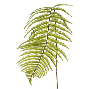 Schwertfarn Blatt künstlich SHOSHA, grün, 110cm