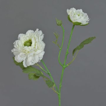 Künstlicher Zweig Ranunkel SAGARA, weiß-grün, 45cm, Ø5-9cm