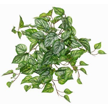 Kunsthänger Gefleckte Efeutute KEVINA auf Steckstab, Eco Collection, grün-weiß, 55cm