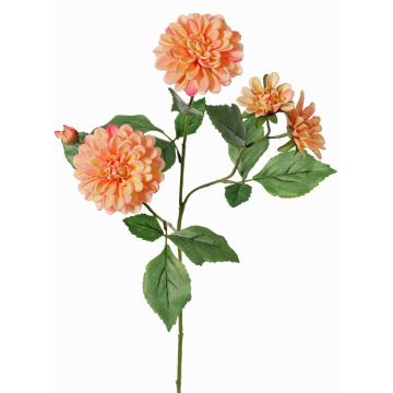 Dekozweig Dahlie künstlich QUINKA, pfirsich, 70cm Dekozweig Dahlie künstlich QUINKA, pfirsich, 70cm