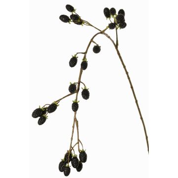 Deko Zweig Brombeere URUMA mit Früchten, schwarz, 100cm Deko Zweig Brombeere URUMA mit Früchten, schwarz, 100cm