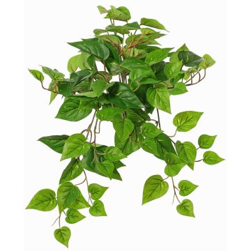 Dekopflanze Efeututen Hänger SHELLEY auf Steckstab, Eco Collection, grün, 55cm