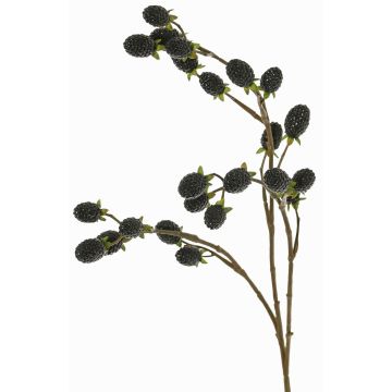 Deko Zweig Brombeere URUMA mit Früchten, schwarz, 90cm Deko Zweig Brombeere URUMA mit Früchten, schwarz, 90cm