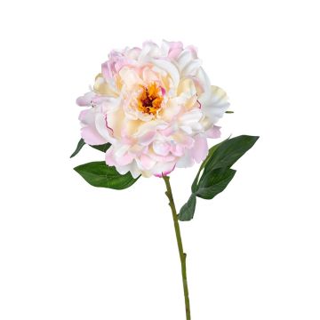 Textilblume Pfingstrose AMITAH, creme-rosa, 80cm