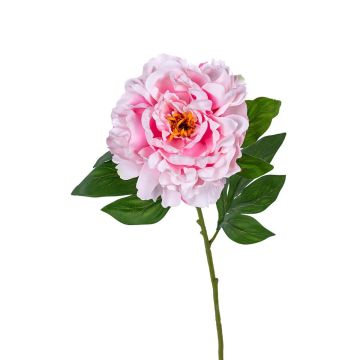 Textilblume Pfingstrose AMITAH, rosa, 80cm Textilblume Pfingstrose AMITAH, rosa, 80cm