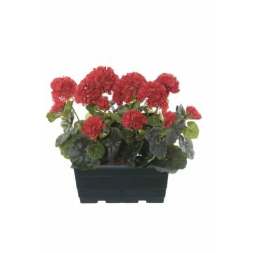 Künstliche Geranien FLOREANA im Blumenkasten, 2 Stück, rot, 24x11x35cm