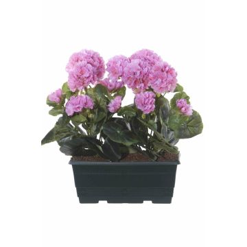 Künstliche Geranien FLOREANA im Blumenkasten, 2 Stück, lila, 24x11x35cm Künstliche Geranien FLOREANA im Blumenkasten, 2 Stück, lila, 24x11x35cm