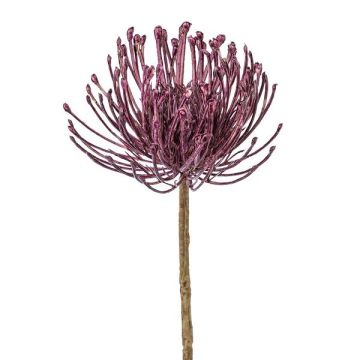 Kunstblume Nadelkissen Protea ZIRMO, lila, 50cm