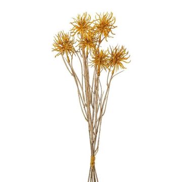 Dekobündel Kugeldistel DRAVLE, gold, 45cm Dekobündel Kugeldistel DRAVLE, gold, 45cm