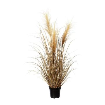 Dekogras Pampasgras SIRFO mit Rispen, braun, 75cm Dekogras Pampasgras SIRFO mit Rispen, braun, 75cm