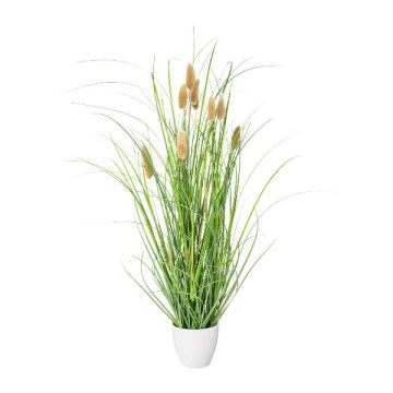 Dekogras Hasenschwanzgras BIRVO im Melamin-Übertopf, Rispen, beige, 50cm
