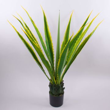 Kunst Agave furcraea gigantea CHERIE, grün-gelb, 110cm Kunst Agave furcraea gigantea CHERIE, grün-gelb, 110cm