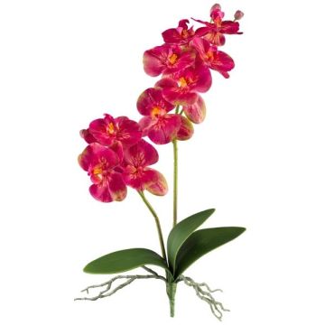 Deko Blume Phalaenopsis Orchidee KRUZBER, Steckstab, Wurzeln, pink, 55cm