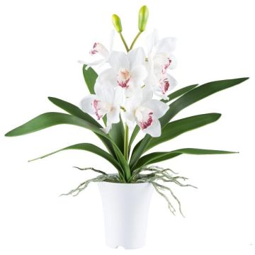 Textil Cymbidium Orchidee BLORKE im Melamin-Übertopf, Wurzeln, weiß-rosa, 55cm Textil Cymbidium Orchidee BLORKE im Melamin-Übertopf, Wurzeln, weiß-rosa, 55cm