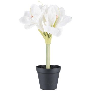 Deko Blume Amaryllis PRIFT im Dekotopf, weiß, 30cm