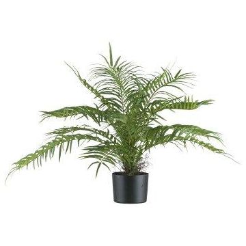 Kunstpalme Areca KARANNE, schwerbrennbar, 70cm