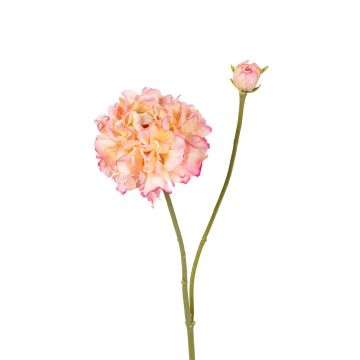 Dekozweig Ranunkel ANDIHLIA, dunkelrosa, 60cm