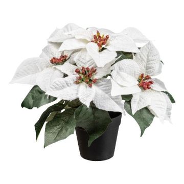Kunstblume Weihnachtsstern FRIZO im Dekotopf, weiß, 26cm Kunstblume Weihnachtsstern FRIZO im Dekotopf, weiß, 26cm