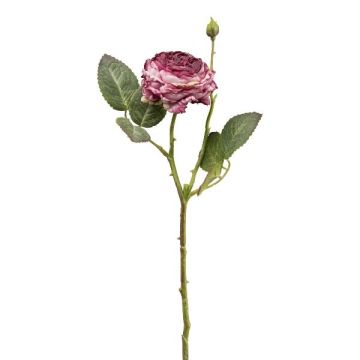 Kunstblume Kohl-Rose VOMTE, Trockenoptik, mauve, 45cm, Ø7cm Kunstblume Kohl-Rose VOMTE, Trockenoptik, mauve, 45cm, Ø7cm
