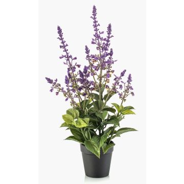 Kunstpflanze Salbei SWORTA im Dekotopf, Blüten, lavendel, 45cm