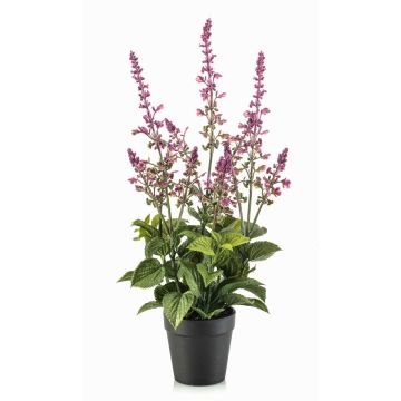 Kunstpflanze Salbei SWORTA im Dekotopf, Blüten, mauve, 45cm