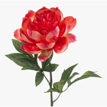 Künstliche Blume Pfingstrose TWOLER, koralle, 60cm, Ø13cm Künstliche Blume Pfingstrose TWOLER, koralle, 60cm, Ø13cm