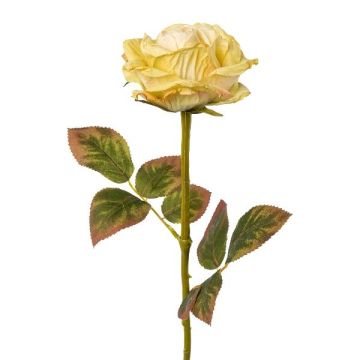 Kunstblume Rose DRINT, Trockenoptik, grün-creme, 60cm, Ø10,5cm