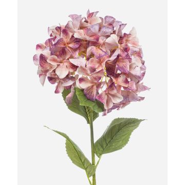 Künstliche Hortensie BRITTANY, pfirsich-lila, 95cm, Ø28cm Künstliche Hortensie BRITTANY, pfirsich-lila, 95cm, Ø28cm